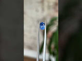 1.27CT OVAL MONTANA SAPPHIRE, VIBRANT PERIWINKLE BLUE, 7.31X5.62X3.79MM