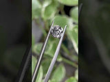 1.26CT SALT AND PEPPER DIAMOND, LIGHT GREY WITH SOME HAZY INCLUSIONS, 6.71X4.13MM