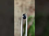 1.24CT OVAL NIGERIAN SAPPHIRE, DEEP OCEAN BLUE, 7.93X5.89X3.35MM, UNTREATED