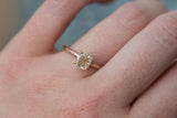 champagne cushion cut diamond solitaire rose recycled gold handmade engagement ring
