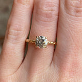 1.10ct Round Salt And Pepper Diamond Evergreen Solitaire in 14k Yellow Gold