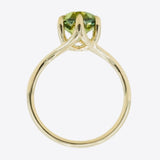 3.25ct Seafoam Blue Green Madagascar Sapphire Six Prong Split Shank Ring in 14k Yellow Gold profile