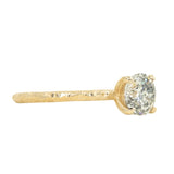 1.10ct Round Salt And Pepper Diamond Evergreen Solitaire in 14k Yellow Gold