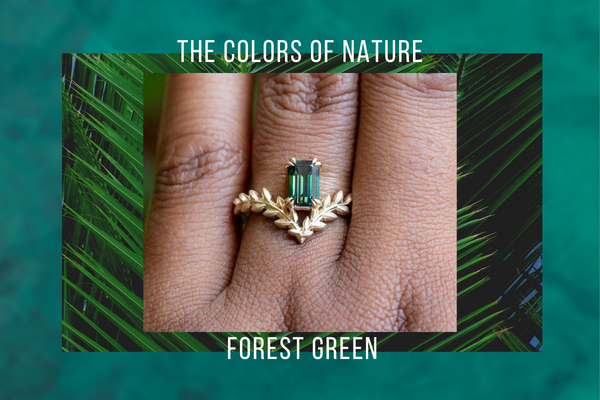 The Colors of Nature: Forest Green