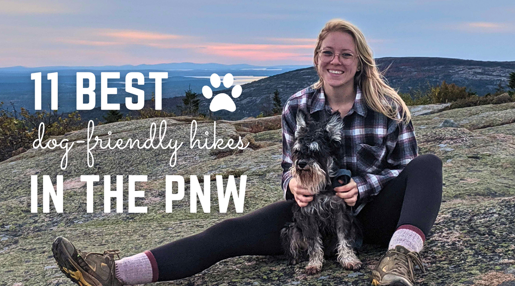 Dog friendly hikes hotsell