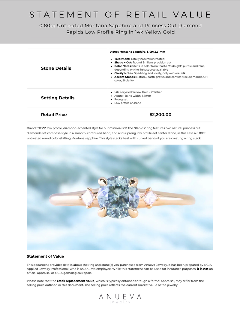 0.80ct Untreated Montana Sapphire and Princess Cut Diamond Rapids Low Profile Ring in 14k Yellow Gold