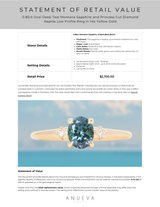 0.85ct Oval Deep Teal Montana Sapphire and Princess Cut Diamond Rapids Low Profile Ring in 14k Yellow Gold