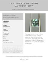 0.99CT CUSHION MONTANA SAPPHIRE, LIGHT TEAL, 6MM, UNTREATED, EARLY ACCESS