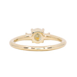 0.71ct Bicolor Round Montana Sapphire and Princess Cut Diamond Rapids Low Profile Ring in 18k Yellow Gold
