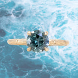 1.62ct Round Montana Sapphire Evergreen Carved Four Prong Solitaire in 14k Yellow Gold