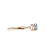 0.80ct Untreated Montana Sapphire and Princess Cut Diamond Rapids Low Profile Ring in 14k Yellow Gold