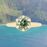1.94ct Round Precision Cushion Cut Green Montana Sapphire Scallop Cup Solitaire in 14k Yellow Gold