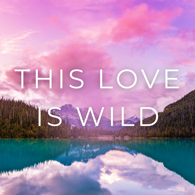 THIS LOVE IS WILD Band
