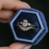 Rapids Diamond Contour Band