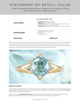 2.60ct Unheated Hexagon Montana Sapphire Low Profile Six Prong Split Shank Solitaire in 18k Yellow Gold