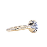 2.03ct Rosecut Salt and Pepper Diamond 6-Prong Low Profile Ring with Evergreen Carved Band in 14K Yellow Gold