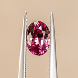 1.33CT OVAL SAPPHIRE, RASPBERRY PINK AND ORANGE , 7.30X5.33X4.08MM, UNTREATED