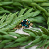 Plain Double Prong Evergreen Solitaire, Stackable - Setting