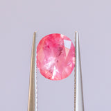 1.75CT OVAL MOZAMBIQUE SAPPHIRE, BRIGHT PINK, 8.22X7.10X4.17MM