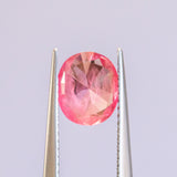 1.75CT OVAL MOZAMBIQUE SAPPHIRE, BRIGHT PINK, 8.22X7.10X4.17MM