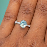 Hidden Halo Solitaire with French Set Diamonds - Setting