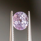 2.00CT Oval Sri Lanka Sapphire, Rose Pink, 7.43x6.53x5.37MM