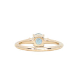 0.81ct Blue Montana Sapphire and Princess Cut Diamond Rapids Low Profile Ring in 14k Yellow Gold