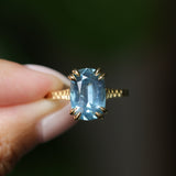 4.25ct Antique Style Elongated Cushion Untreated Montana Sapphire Vine Cathedral Four Prong Ring in 18k Yellow Gold