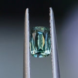 0.60CT ELONGATED "SCISSOR" CUSHION AUSTRALIAN SAPPHIRE, PARTI YELLOW BLUE GREEN, 5.7X3.8X2.2M
