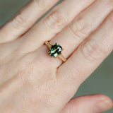 1.98ct Untreated Australian Elongated Cushion Cut Sapphire Vine Cathedral Four Prong Ring in 14k Yellow Gold