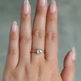 1.33ct Rosecut Grey Diamond and Princess Cut Diamond Rapids Low Profile Ring in 14k Yellow Gold
