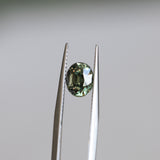 2.22CT OVAL MADAGASCAR SAPPHIRE, COLOR CHANGE OLIVE GREEN YELLOW TO PURPLE CHAMPAGNE, 7.59X6.31X5.45MM
