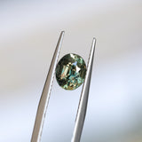 2.22CT OVAL MADAGASCAR SAPPHIRE, COLOR CHANGE OLIVE GREEN YELLOW TO PURPLE CHAMPAGNE, 7.59X6.31X5.45MM