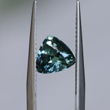 1.75CT TRILLION MADAGASCAR SAPPHIRE, PARTI TEAL, GREEN AND YELLOW, 7.38X7.25X4.44MM