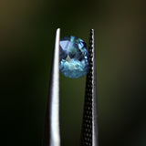 1.38CT PRECISION CUT OVAL MONTANA SAPPHIRE, OCEAN BLUE TEAL, 7.0X6.0X4.4MM