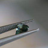 1.75CT TRILLION MADAGASCAR SAPPHIRE, PARTI TEAL, GREEN AND YELLOW, 7.38X7.25X4.44MM