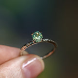 0.89ct Oval Precision Cut Spring Green Montana Sapphire Evergreen Carved 4 Prong Solitaire in 14k White Gold