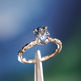 1.67ct Untreated Montana Sapphire Evergreen Carved 4 Prong Solitaire in Platinum