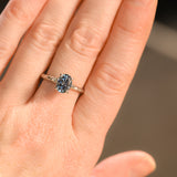 1.67ct Untreated Montana Sapphire Evergreen Carved 4 Prong Solitaire in Platinum