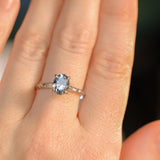 1.67ct Untreated Montana Sapphire Evergreen Carved 4 Prong Solitaire in Platinum