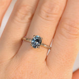 1.67ct Untreated Montana Sapphire Evergreen Carved 4 Prong Solitaire in Platinum