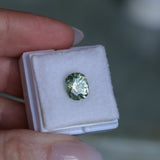 2.57CT FANCY PRECISION CUSHION MONTANA SAPPHIRE, PARTI OLIVE GREEN AND GOLD, 8.82X7.54X5.37MM - APPRAISED STONE