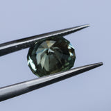 2.57CT FANCY PRECISION CUSHION MONTANA SAPPHIRE, PARTI OLIVE GREEN AND GOLD, 8.82X7.54X5.37MM - APPRAISED STONE