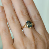 3.29ct Untreated Oval Parti Green Sapphire Low Profile 6 Prong Evergreen Carved Solitaire in 14k Yellow Gold