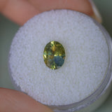 1.52CT OVAL NIGERIAN SAPPHIRE, PARTI YELLOW BLUE GREEN, 7.77X6.07MM, UNTREATED