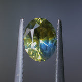 1.52CT OVAL NIGERIAN SAPPHIRE, PARTI YELLOW BLUE GREEN, 7.77X6.07MM, UNTREATED