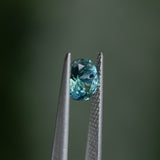 1.30CT PRECISION CUT OVAL MONTANA SAPPHIRE, CARIBBEAN TEAL, 6.8X5.6X4.2MM