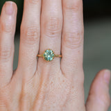 1.93ct Oval Silky Teal Montana Sapphire Scallop Cup Solitaire in 18k Yellow Gold