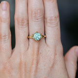 2.60ct Unheated Hexagon Montana Sapphire Low Profile Six Prong Split Shank Solitaire in 18k Yellow Gold