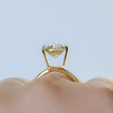 3.83CT OVAL MADAGASCAR SAPPHIRE, PARTI YELLOW WHITE BLUE, 10.2X8.2X5.6MM